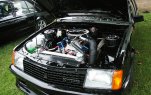 Milton Show 2012 